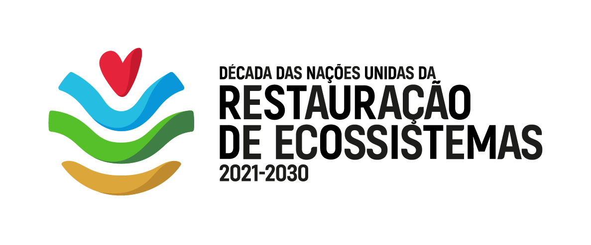 UN Decade_LOGO_MASTER_PT