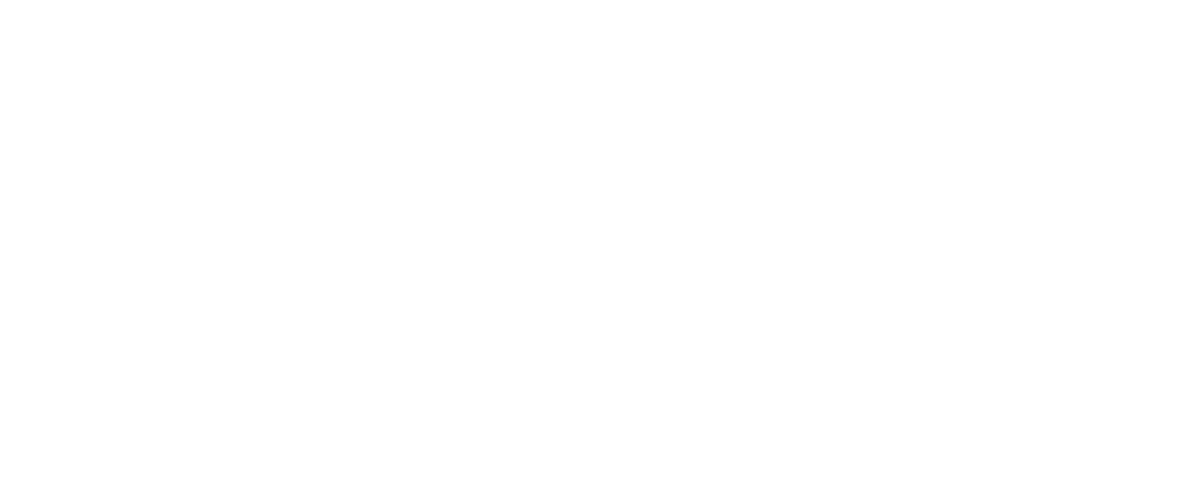 UN Decade_LOGO_MASTER_PT_white1